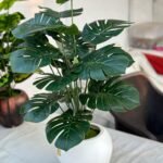 Artificial Monstera Plant With Plastic Pot